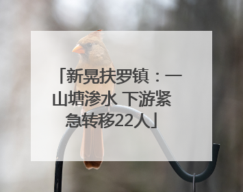 新晃扶罗镇：一山塘渗水 下游紧急转移22人