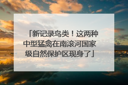 新记录鸟类！这两种中型猛禽在南滚河国家级自然保护区现身了