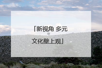 新视角 多元文化壁上观