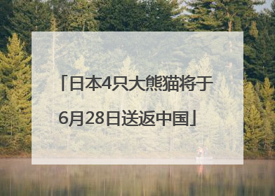 日本4只大熊猫将于6月28日送返中国
