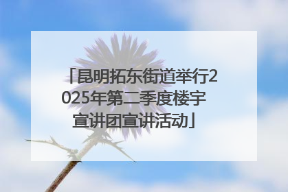 昆明拓东街道举行2025年第二季度楼宇宣讲团宣讲活动