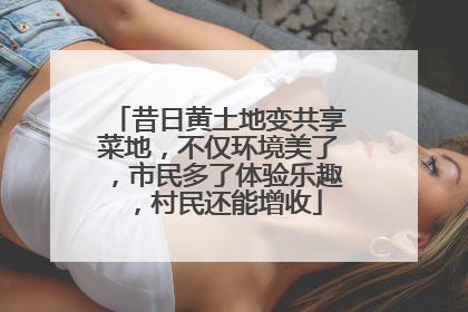 昔日黄土地变共享菜地，不仅环境美了，市民多了体验乐趣，村民还能增收