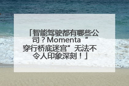 智能驾驶都有哪些公司？Momenta“穿行桥底迷宫”无法不令人印象深刻！