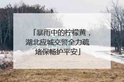 暴雨中的柠檬黄，湖北应城交警全力疏堵保畅护平安