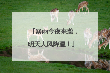 暴雨今夜来袭，明天大风降温！