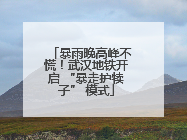 暴雨晚高峰不慌！武汉地铁开启 “暴走护犊子” 模式