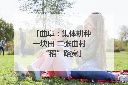 曲阜：集体耕种一块田 二张曲村“稻”路宽