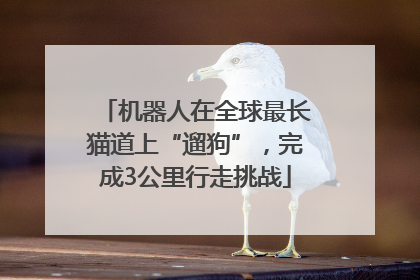 机器人在全球最长猫道上“遛狗”，完成3公里行走挑战