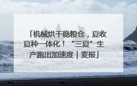 机械烘干稳粮仓，夏收夏种一体化！“三夏”生产跑出加速度｜麦报
