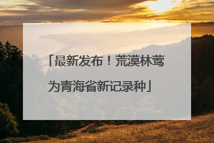 最新发布！荒漠林莺为青海省新记录种