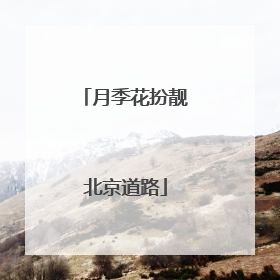 月季花扮靓北京道路
