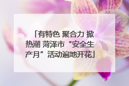 有特色 聚合力 掀热潮 菏泽市“安全生产月”活动遍地开花