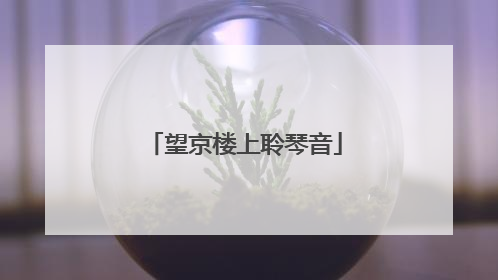 望京楼上聆琴音