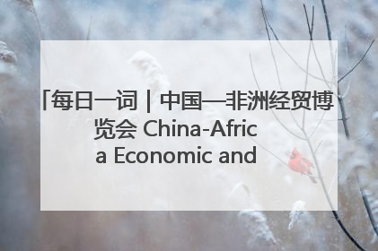 每日一词｜中国—非洲经贸博览会 China-Africa Economic and Trade Expo