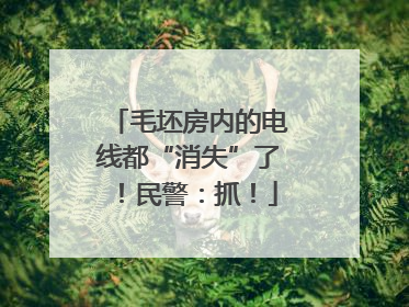 毛坯房内的电线都“消失”了！民警：抓！