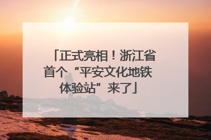 正式亮相！浙江省首个“平安文化地铁体验站”来了