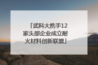 武科大携手12家头部企业成立耐火材料创新联盟