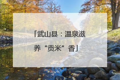 武山县：温泉滋养“贡米”香