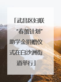 武昌区妇联“春蕾计划”助学金捐赠仪式在白沙洲街道举行