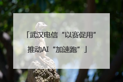 武汉电信“以赛促用”推动AI“加速跑”