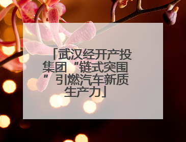 武汉经开产投集团“链式突围”引燃汽车新质生产力