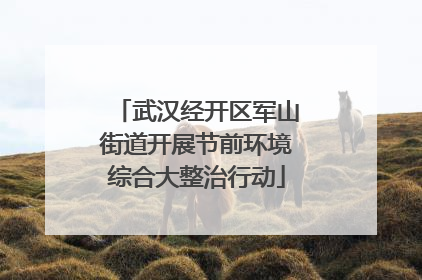 武汉经开区军山街道开展节前环境综合大整治行动