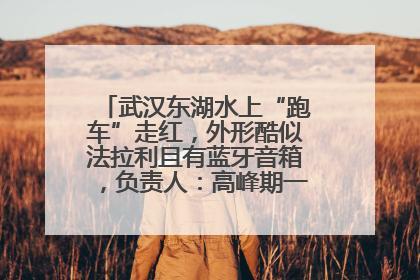 武汉东湖水上“跑车”走红，外形酷似法拉利且有蓝牙音箱，负责人：高峰期一两百人排队