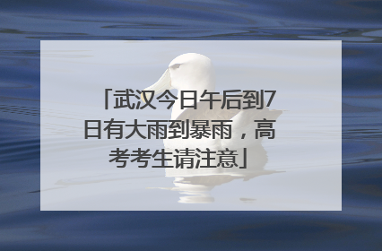 武汉今日午后到7日有大雨到暴雨，高考考生请注意