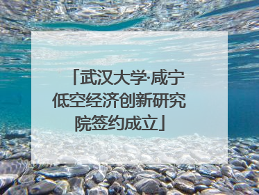 武汉大学·咸宁低空经济创新研究院签约成立