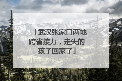 武汉张家口两地跨省接力，走失的孩子回家了