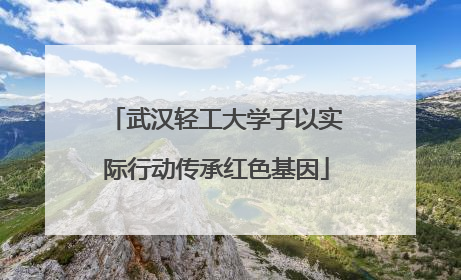 武汉轻工大学子以实际行动传承红色基因