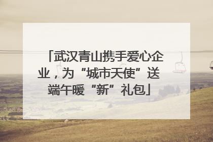 武汉青山携手爱心企业，为“城市天使”送端午暖“新”礼包