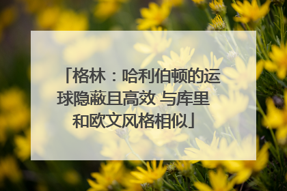 格林：哈利伯顿的运球隐蔽且高效 与库里和欧文风格相似