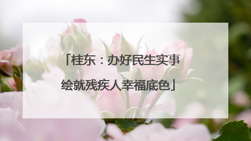 桂东：办好民生实事 绘就残疾人幸福底色