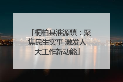 桐柏县淮源镇：聚焦民生实事 激发人大工作新动能