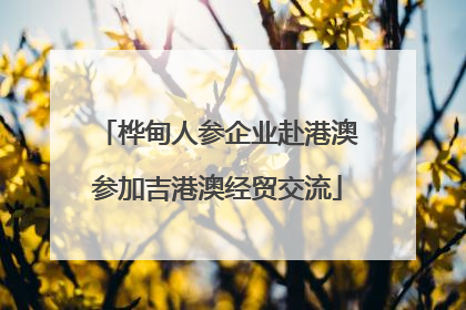 桦甸人参企业赴港澳参加吉港澳经贸交流