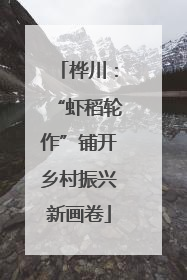 桦川：“虾稻轮作”铺开乡村振兴新画卷