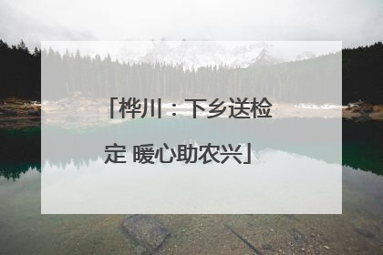 桦川：下乡送检定 暖心助农兴