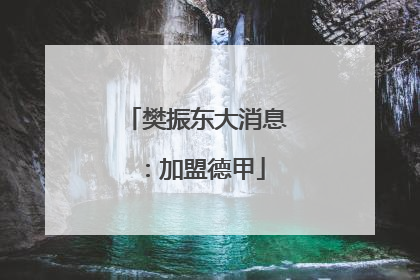樊振东大消息：加盟德甲