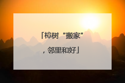 樟树“搬家”，邻里和好