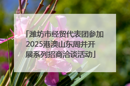 潍坊市经贸代表团参加2025港澳山东周并开展系列招商洽谈活动