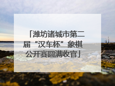 潍坊诸城市第二届“汉车杯”象棋公开赛圆满收官
