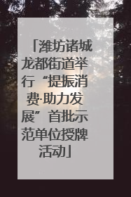 潍坊诸城龙都街道举行“提振消费·助力发展”首批示范单位授牌活动