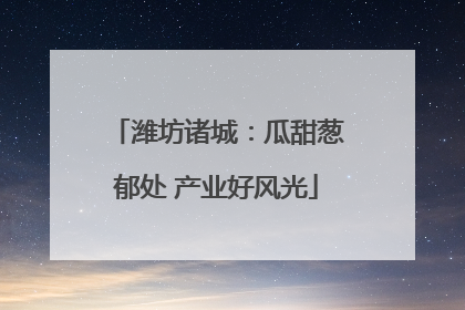 潍坊诸城：瓜甜葱郁处 产业好风光