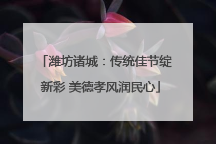 潍坊诸城：传统佳节绽新彩 美德孝风润民心