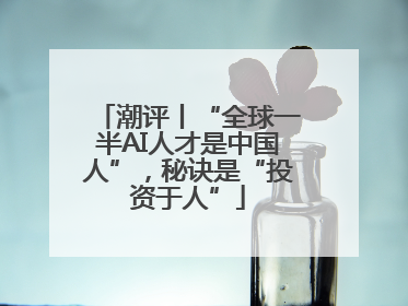 潮评丨“全球一半AI人才是中国人”，秘诀是“投资于人”