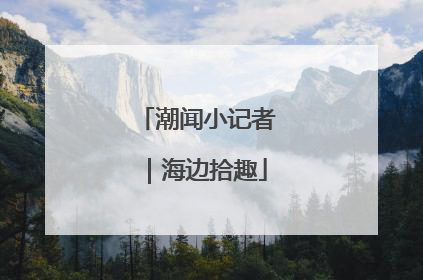 潮闻小记者｜海边拾趣