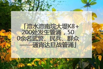 澧水澧南垸大堤K8+200处发生管涌，500余名武警、民兵、群众——通宵达旦战管涌