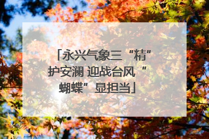 永兴气象三“精”护安澜 迎战台风“蝴蝶”显担当