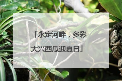 永定河畔，多彩大兴西瓜迎夏日